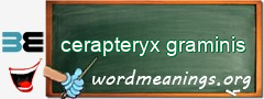 WordMeaning blackboard for cerapteryx graminis
